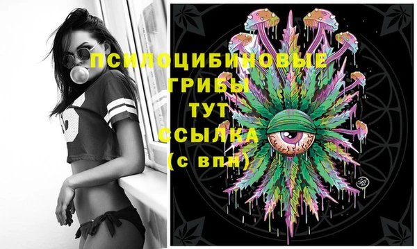 не бодяженный Алзамай