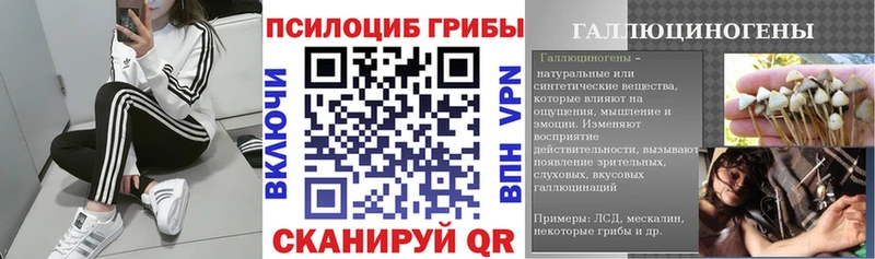Псилоцибиновые грибы MAGIC MUSHROOMS  Грайворон 